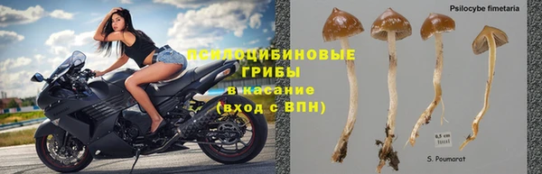 jwh Беломорск