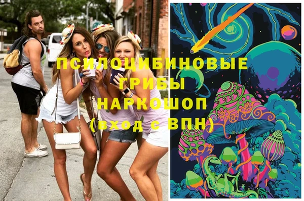 эйфоретик Белокуриха
