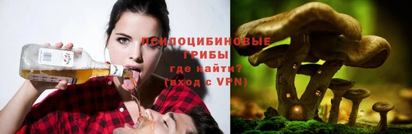 jwh Беломорск