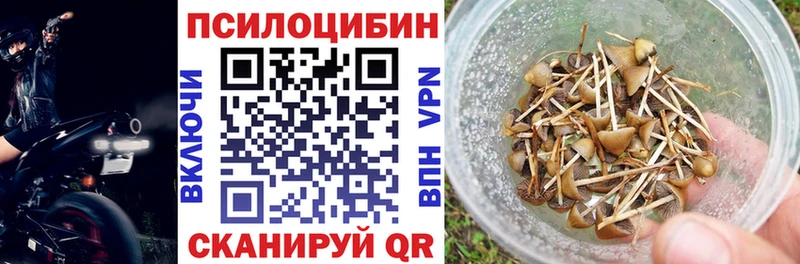 Псилоцибиновые грибы прущие грибы  OMG ссылки  сайты даркнета состав  Покровск 